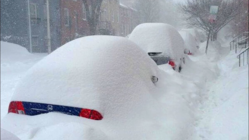 Crazy Weather Heavy Snow Covers Homes and Cars in New Zealand for the First Time this