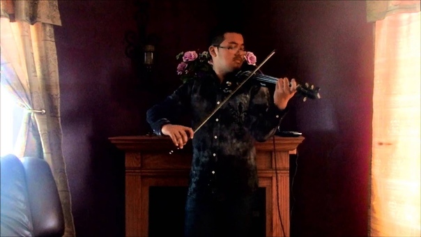 Eagles Hotel California, electric violin cover by Steve
