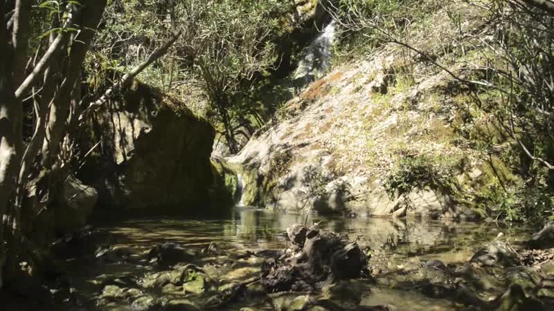 ARROYOS DE