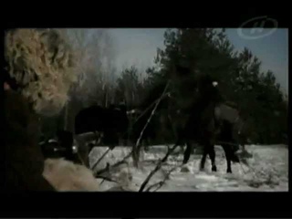 Слуцкое восстание ч.1