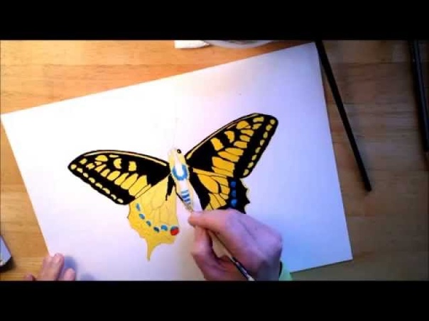 The Swallowtail Butterfly Watercolor Speed