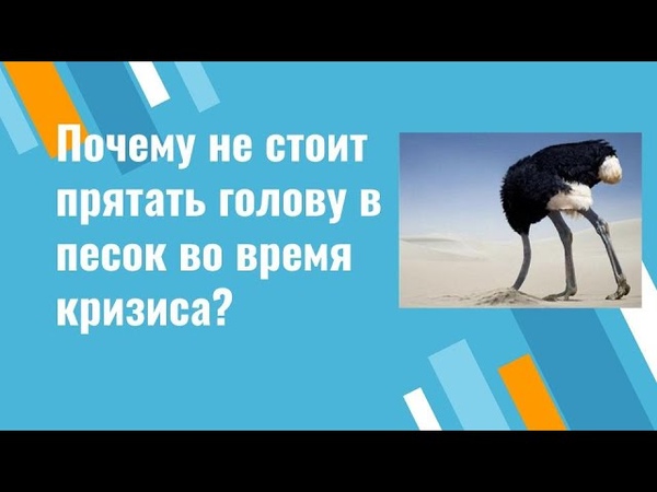 Почему не стоит прятать голову в песок в кризисной