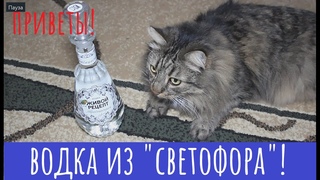 Алкотест: Водка Живой рецепт. Не мертвый, и хорошо!