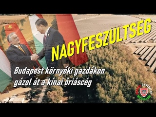 NAGYFESZÜLTSÉG -  Budapest környéki gazdákon gázol át a kínai óriáscég