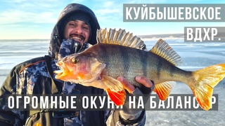 ПЕРВЫЙ ЛЁД НА БОЛЬШОЙ ВОЛГЕ / УЛЬЯНОВСК 2022