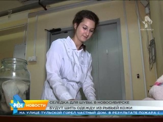 сюжет от  рыбий мех