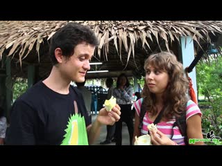 Amazing DURIAN at a Fruit Farm in Nonthaburi, Thailand ()