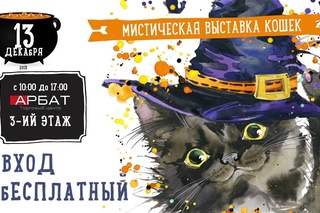 - Крибли - крабли… мяу!