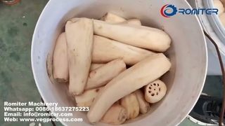 Automatic Lotus Root Direction Fixed Chip Slicer Machine