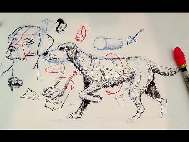 Pen and Ink Drawing Tutorials, How to draw a