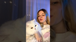 Как вам этот тренд с котиком #кот #шапкаушанка #шапка #90s #рек #тренд #тренды2023 #тикток #шортс