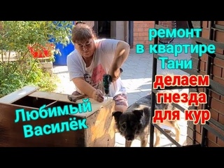 Ейск🌹Ремонт в квартире Тани. Делаем гнёзда для кур. Любимый Василёк😊👍