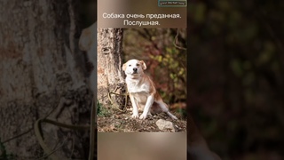 Её доброе сердце