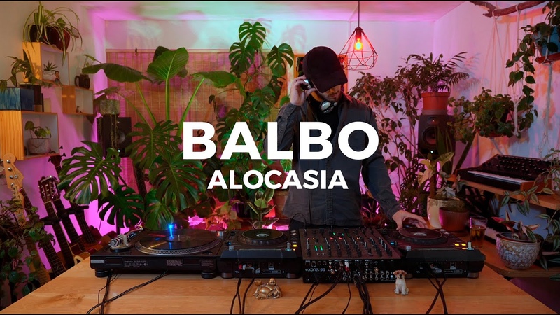 Sesiones Alocasia Balbo Dj Set , ,house,