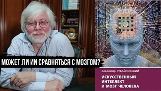 Может ли Искусственный Интеллект сравняться с мозгом? / Программист Владимир Губайловский