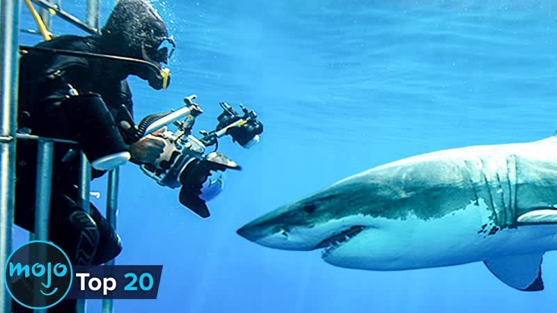 20 Most Dangerous Tourist Activities in the