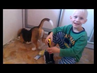 Ремонт комнаты с Биглем Бубликом || Repair bathrooms with Beagle Bagel