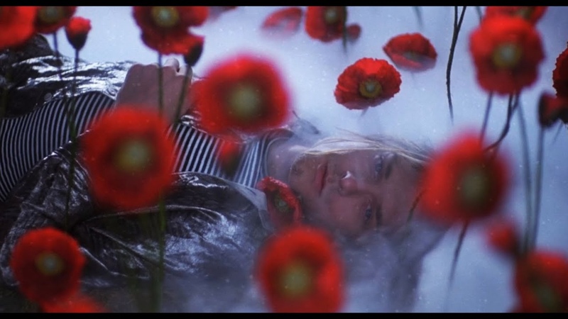 Nirvana Smells Like Teen Spirit (by Scala Kolacny