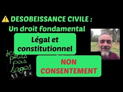 La désobéissance civile est un droit fondamental, légitime et LÉ GAL