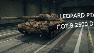 LEOPARD PTA ПОКАЗЫВАЮ КАК ДЕЛАТЬ 2500 СРЕДНЕГО УРОНА