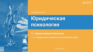 11.5. Направления профилактической работы МВД