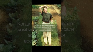 Вместо похода к психологу