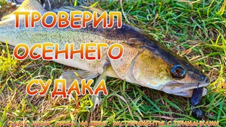 Судак, щука, окунь на джиг в СЕНТЯБРЕ. Лучше всего ловилось на эту приманку!