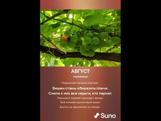 Август (Песня на стихи Александра Левонюка)