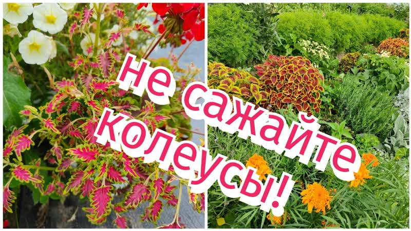 Кое что о