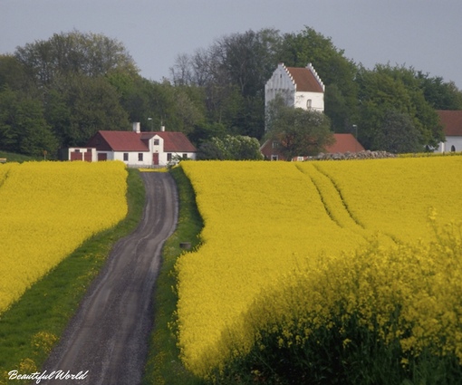 Лунд швеция. Юг швеции. Сконе (провинция). Куллаберг швеция. Юг швеции.