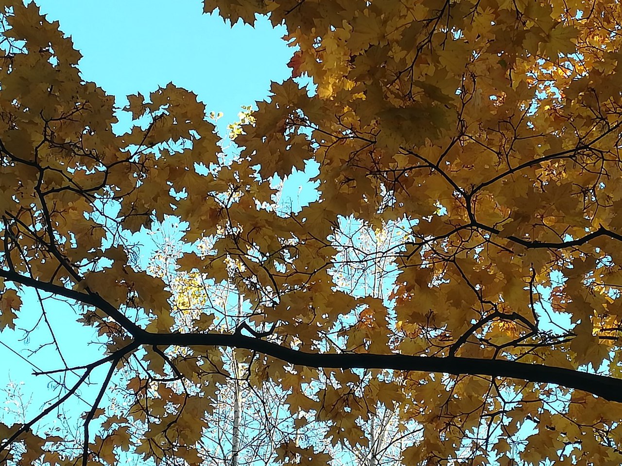 Бабье лето. Какой ждать октябрь. Осень очей очарованье. Озеро джека лондона рассвет. Стихотворение про осень.