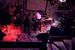 Bearded Birds - Doska