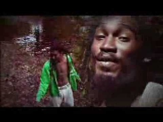 Jamelody - Love Crazy