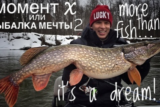 Когда просыпаются трофеи. When big pikes hunts.