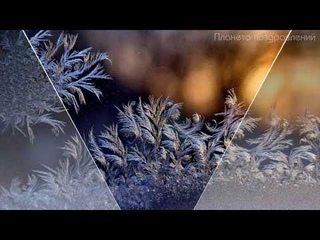 Красивой зимы, друзья! Морозные узоры