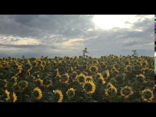 Відеозапрошення СЕРЦЕВОГО НАПАДУ  на БАНДЕРШТАТ 2017