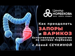 Открытый вебинар Как преодолеть запоры и варикоз: Стратегии по системе Норбекова с Анной Сечкиной