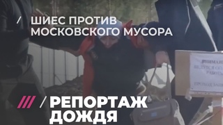 Репортаж Дождя про Шиес. Зачем активисты воюют с Росгвардией, ОМОНом, полицией и ЧОПом