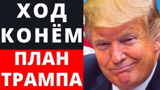 Ход КОНЁМ! План Трампа. Выборы в США.