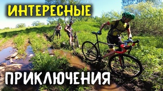 Долой трек! Разведка интересней Позитивная покатушка / мтб