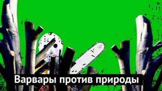 Как чиновники уничтожают деревья