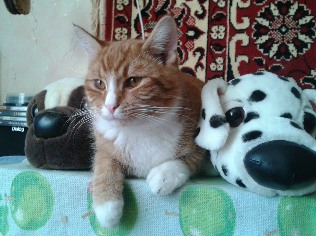 Максим Доценко | Глебычево