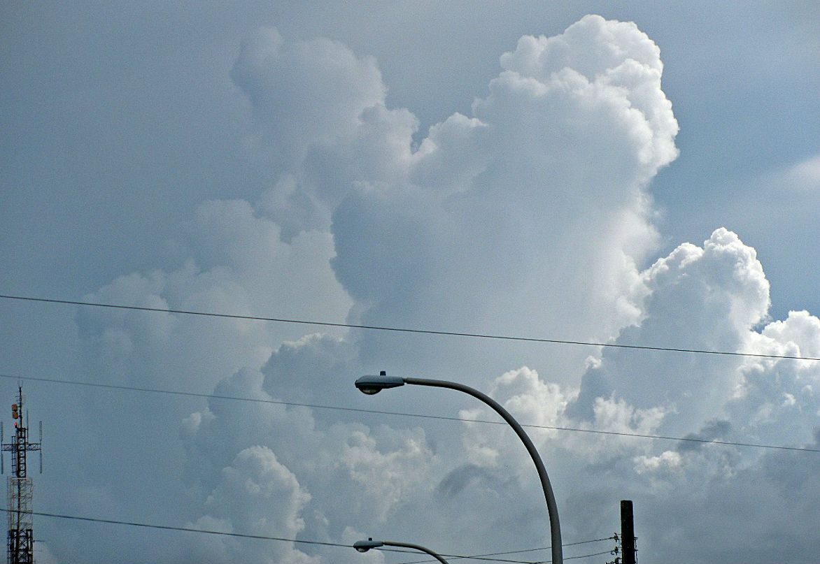 Полина Шамаева | Москва