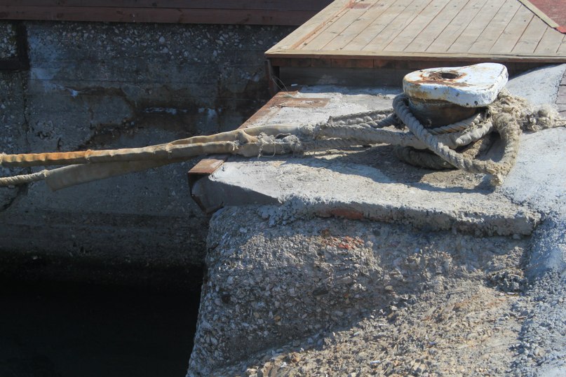 Катя Шереметева ***Grenouille heureuse*** | Nice