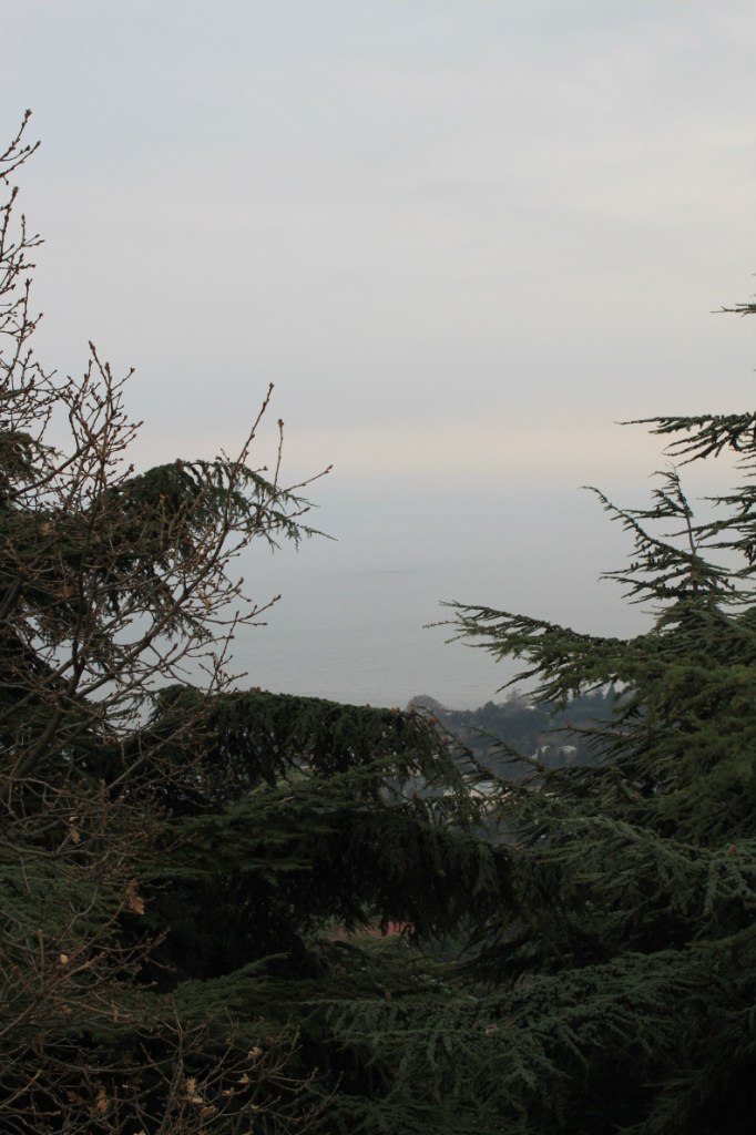 Катя Шереметева ***Grenouille heureuse*** | Nice