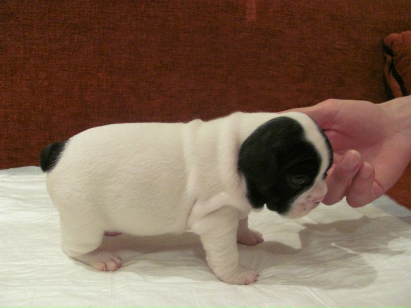 Наталья Долотова | Рыбинск