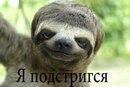Фотография Абсалутдин-Абсик Гамзатов