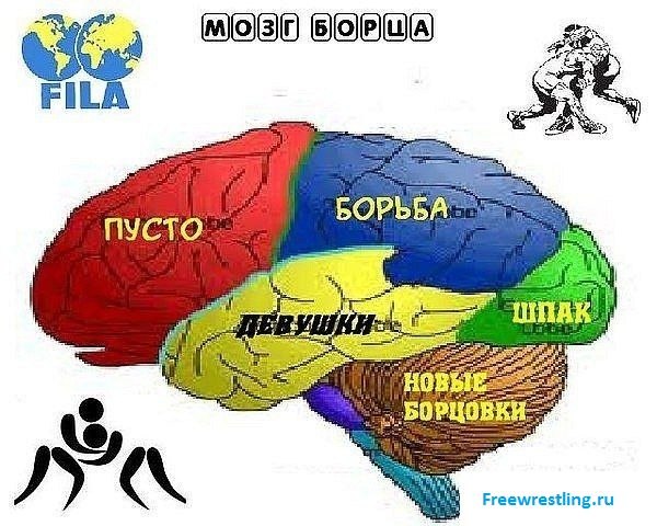 Александр Волков | Ростов-на-Дону