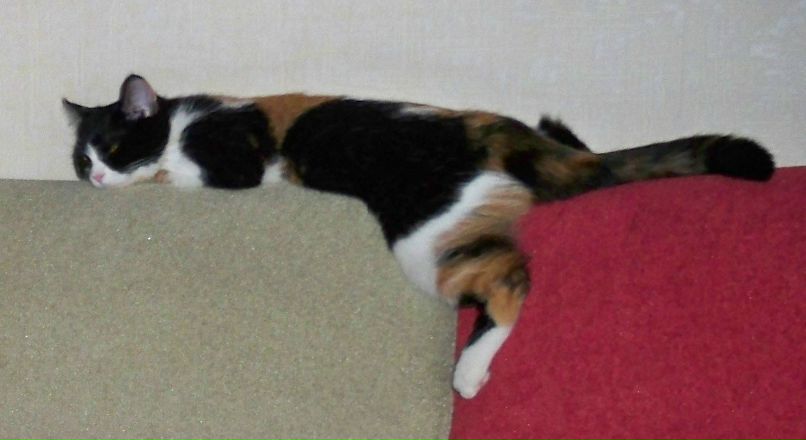 Юлия Русалкина | Благовещенск