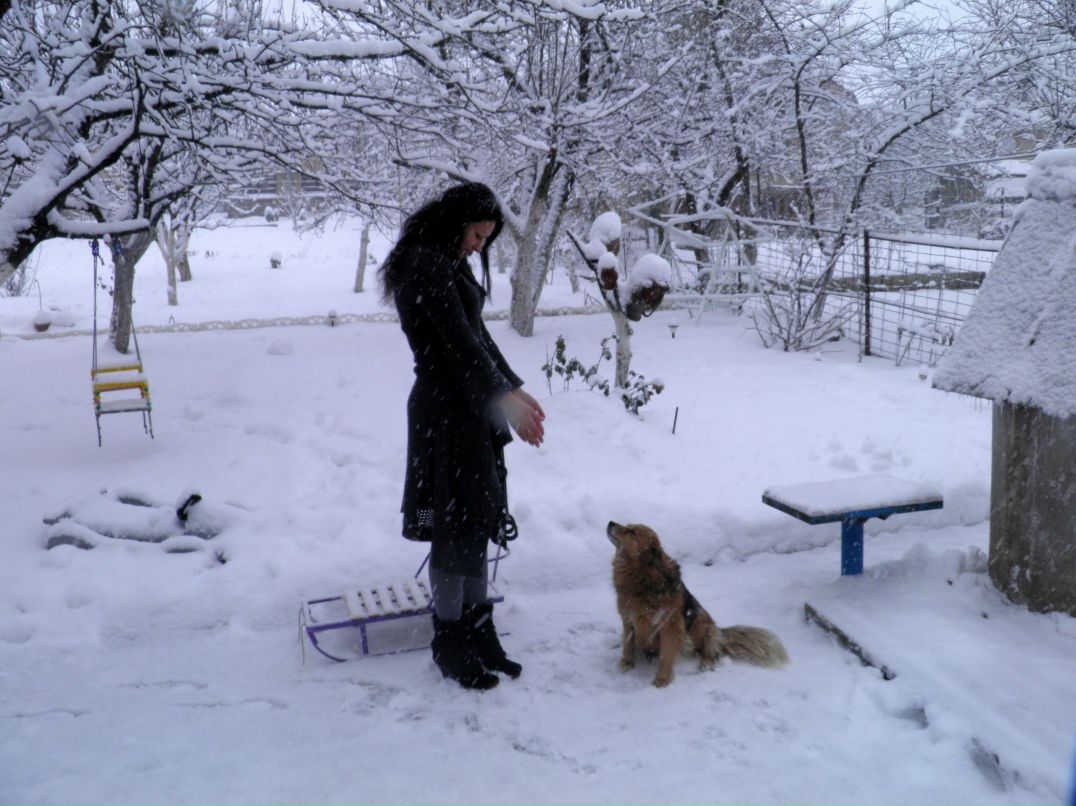 Марина Шикеринская | Киев